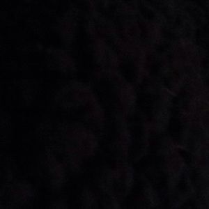 Meet your Posher, Reyes